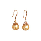 Tulip 12mm Golden South Sea 18K Rose Gold Pearl Earrings