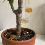 seree - Zodiac collection | Cancer — Jade stone necklace