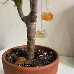 seree - Zodiac collection | Cancer — Jade stone necklace